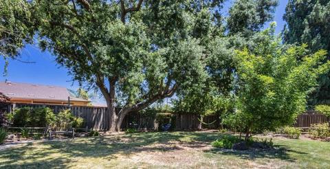 1402 Rosario St, Davis, CA 95618 photo 46