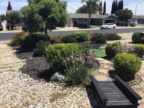 116 Hemlock, Lodi, CA 95240 photo 7
