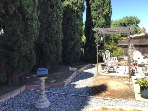 116 Hemlock, Lodi, CA 95240 photo 46