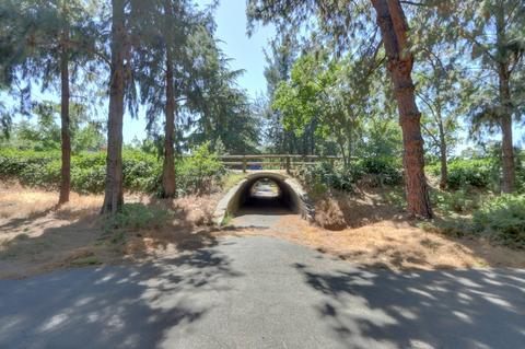 703 Barcelona Ave, Davis, CA 95616 photo 44