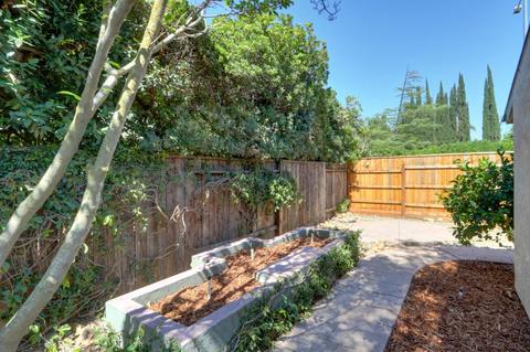 703 Barcelona Ave, Davis, CA 95616 photo 37
