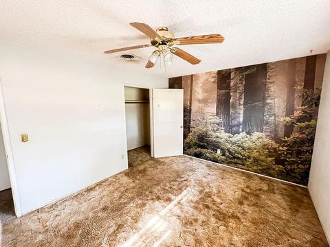2680 Madrone St, Sutter, CA 95982 photo 13
