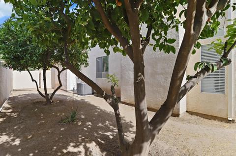 1158 Ruess Rd, Ripon, CA 95366 photo 30