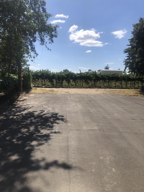 8918 Emil St, Victor, CA 95253 photo 28