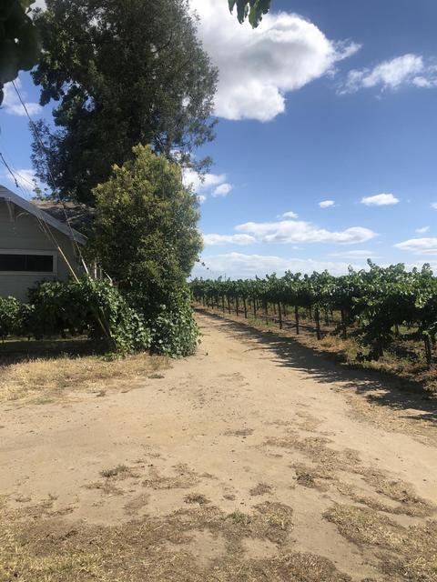 8918 Emil St, Victor, CA 95253 photo 29