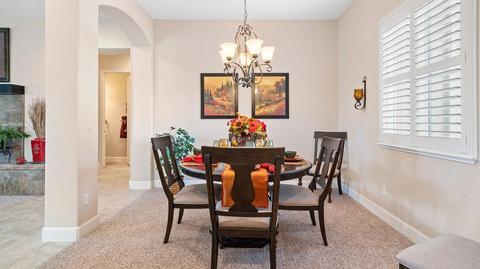 1024 Birch Run Way, Manteca, CA 95336 photo 13