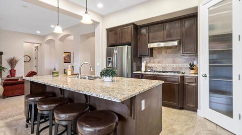 1024 Birch Run Way, Manteca, CA 95336 photo 23