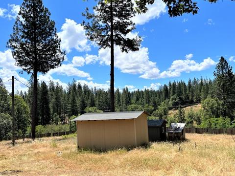 3090 Ridge Rd, Glencoe, CA 95232 photo 52