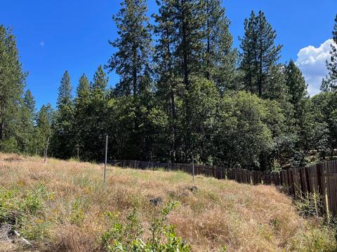 3090 Ridge Rd, Glencoe, CA 95232 photo 55