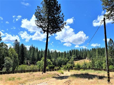 3090 Ridge Rd, Glencoe, CA 95232 photo 60