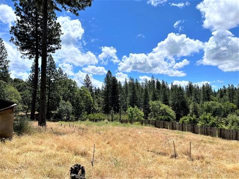 3090 Ridge Rd, Glencoe, CA 95232 photo 58