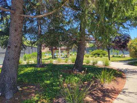 6032 Mount Hamilton Ct, Castro Valley, CA 94552 photo 64