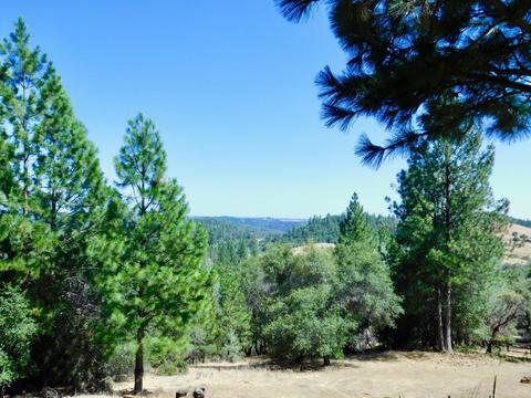 2702 Brown Bear Ct, Cool, CA 95614 photo 30