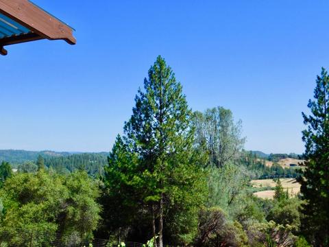 2702 Brown Bear Ct, Cool, CA 95614 photo 29