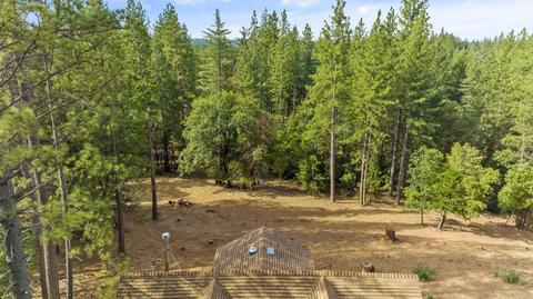 3146 Buckeye Ct, Placerville, CA 95667 photo 40