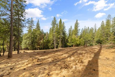3146 Buckeye Ct, Placerville, CA 95667 photo 31