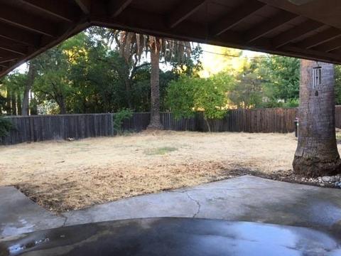 6037 Palm Dr, Carmichael, CA 95608 photo 6