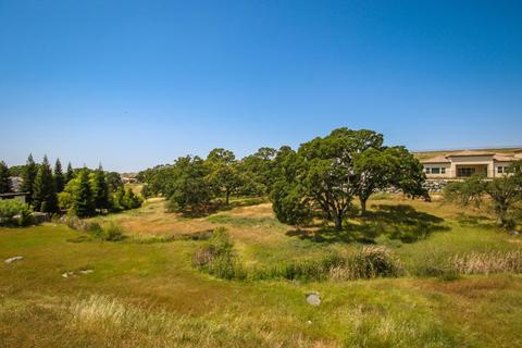 1006 Big Cedar Ct, Rocklin, CA 95765 photo 41