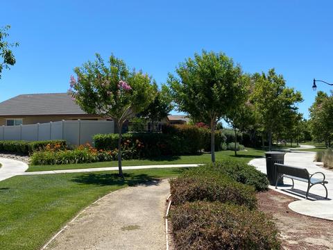 2667 Steeple Run Ln, Manteca, CA 95336 photo 34