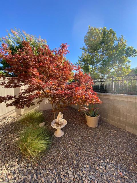 2667 Steeple Run Ln, Manteca, CA 95336 photo 30