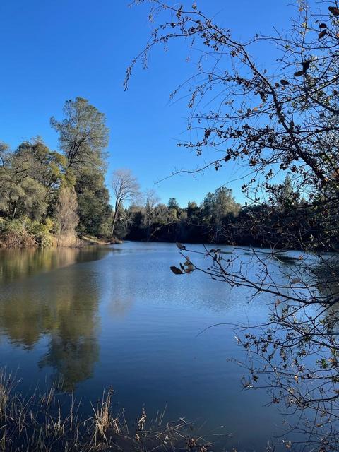 920 Black Rice Rd, Placerville, CA 95667 photo 29
