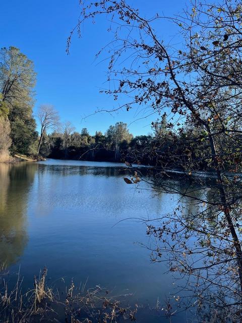 920 Black Rice Rd, Placerville, CA 95667 photo 28