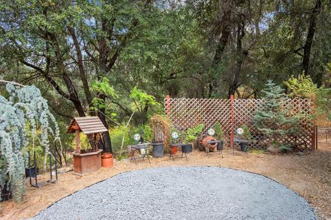 920 Black Rice Rd, Placerville, CA 95667 photo 32
