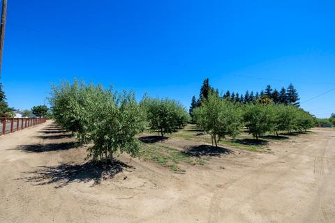 11201 E West Ripon Rd, Ripon, CA 95366 photo 33
