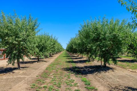 11201 E West Ripon Rd, Ripon, CA 95366 photo 34