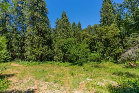 18165 Ridge Rd, Pine Grove, CA 95665 photo 44