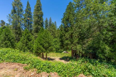18165 Ridge Rd, Pine Grove, CA 95665 photo 43