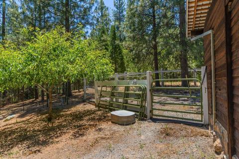 890 Skull Flat Rd, West Point, CA 95255 photo 51