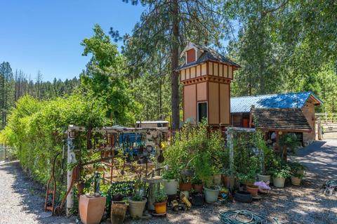890 Skull Flat Rd, West Point, CA 95255 photo 59