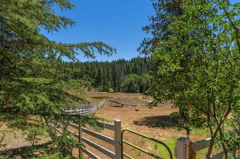 890 Skull Flat Rd, West Point, CA 95255 photo 42
