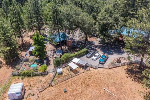 890 Skull Flat Rd, West Point, CA 95255 photo 8