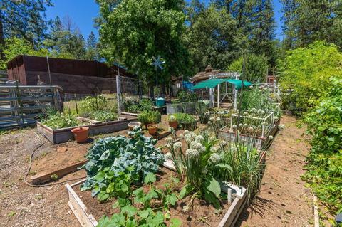 890 Skull Flat Rd, West Point, CA 95255 photo 60