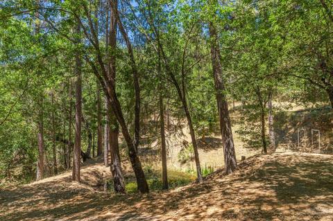890 Skull Flat Rd, West Point, CA 95255 photo 69