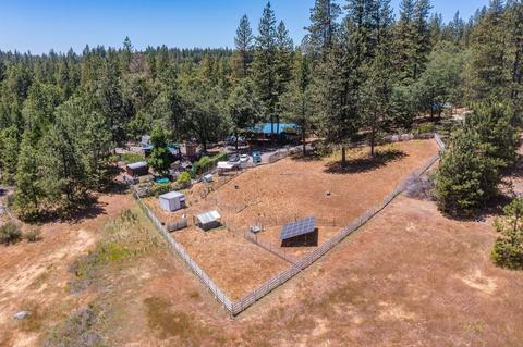890 Skull Flat Rd, West Point, CA 95255 photo 9