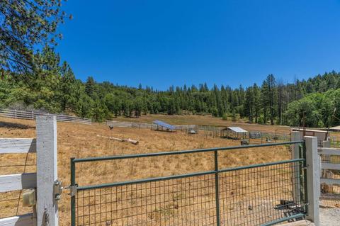 890 Skull Flat Rd, West Point, CA 95255 photo 44