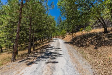 890 Skull Flat Rd, West Point, CA 95255 photo 72