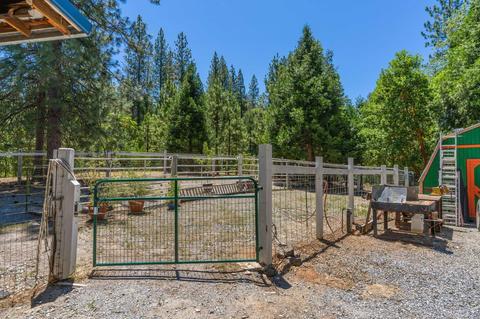 890 Skull Flat Rd, West Point, CA 95255 photo 50