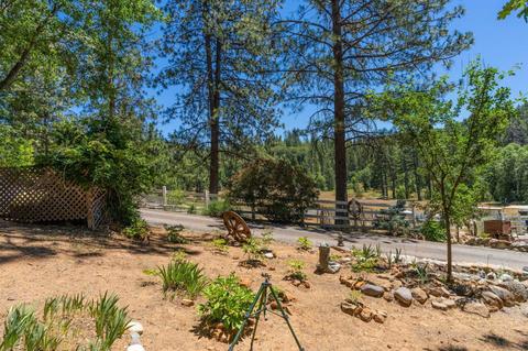 890 Skull Flat Rd, West Point, CA 95255 photo 45