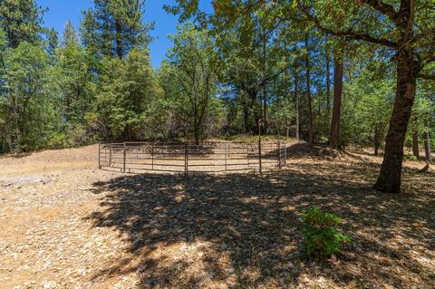 890 Skull Flat Rd, West Point, CA 95255 photo 76