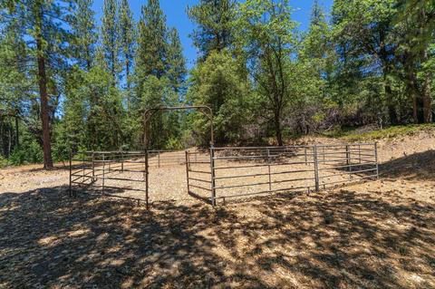 890 Skull Flat Rd, West Point, CA 95255 photo 77
