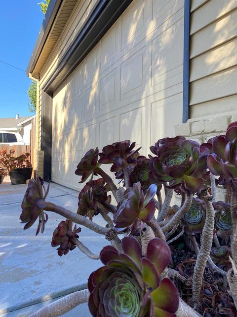 1216 May Ave, Modesto, CA 95350 photo 14