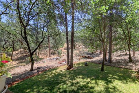 910 Pine Hill Rd, Colfax, CA 95713 photo 39