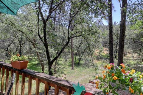 910 Pine Hill Rd, Colfax, CA 95713 photo 35
