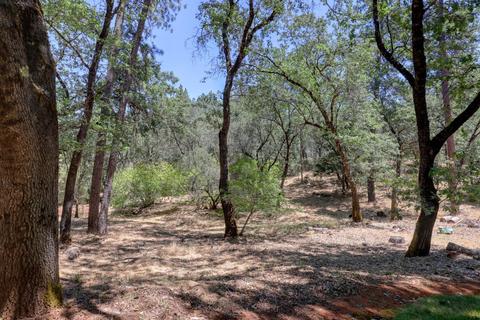 910 Pine Hill Rd, Colfax, CA 95713 photo 37