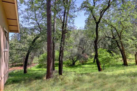 910 Pine Hill Rd, Colfax, CA 95713 photo 38