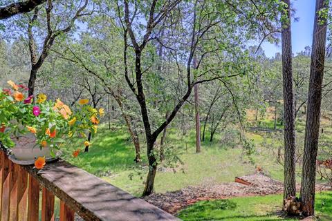 910 Pine Hill Rd, Colfax, CA 95713 photo 36